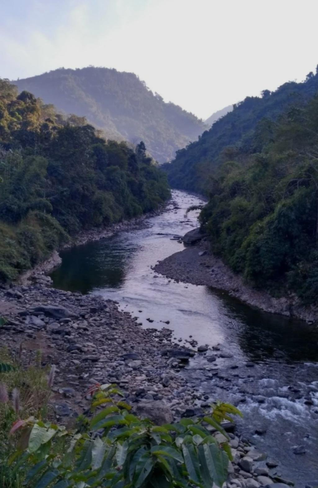 Dikhou destruction and landslides in Nagaland:দিখৌৰ সংহাৰ আৰু নাগালেণ্ডৰ ভূমিস্খলন: প্ৰকৃতিৰ তীব্ৰ সকিয়নি আৰু আমাৰ কৰণীয়